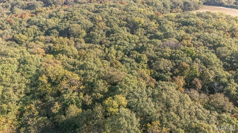 Tiny photo for 00 Brush Creek, New London, MO 63459 (MLS # 26067512)