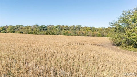 Tiny photo for 00 Brush Creek, New London, MO 63459 (MLS # 26067512)