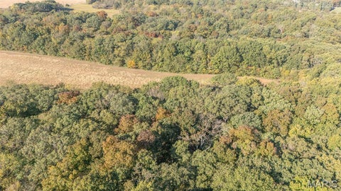 Tiny photo for 00 Brush Creek, New London, MO 63459 (MLS # 26067512)