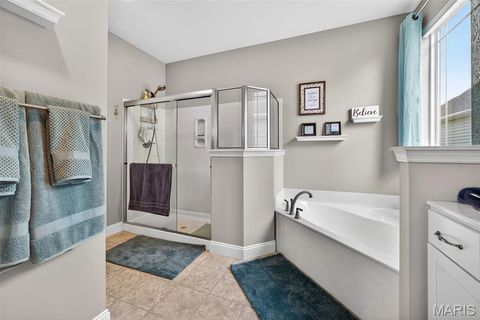 Tiny photo for 408 Hamlet Court, Lake Saint Louis, MO 63367 (MLS # 26018590)