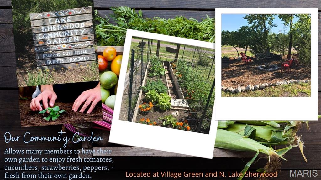 Lake Sherwood Estates - Land