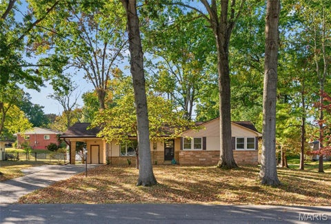 Photo of 1339 Karen Drive, Cape Girardeau, MO 63701 (MLS # 26068462)