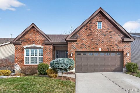 956 Ridgepointe Place Circle Lake St Louis MO 63367