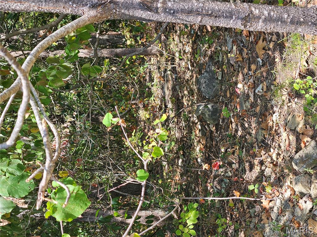 Raintree Plantation Sec 21 - Land