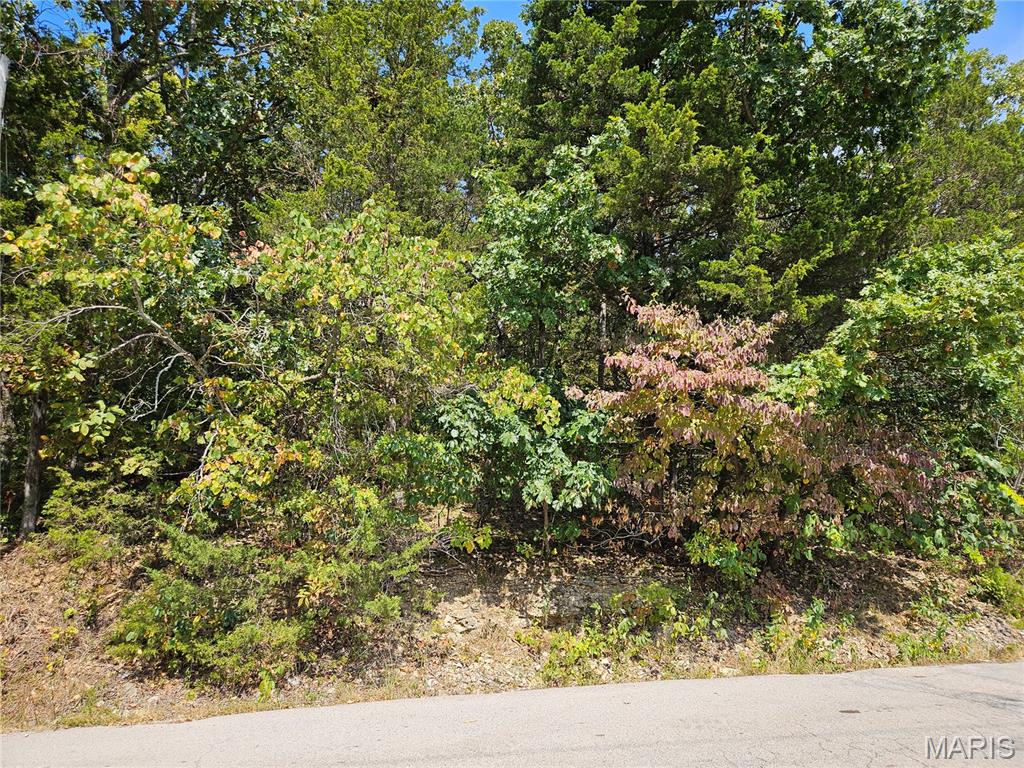 Raintree Plantation Sec 21 - Land