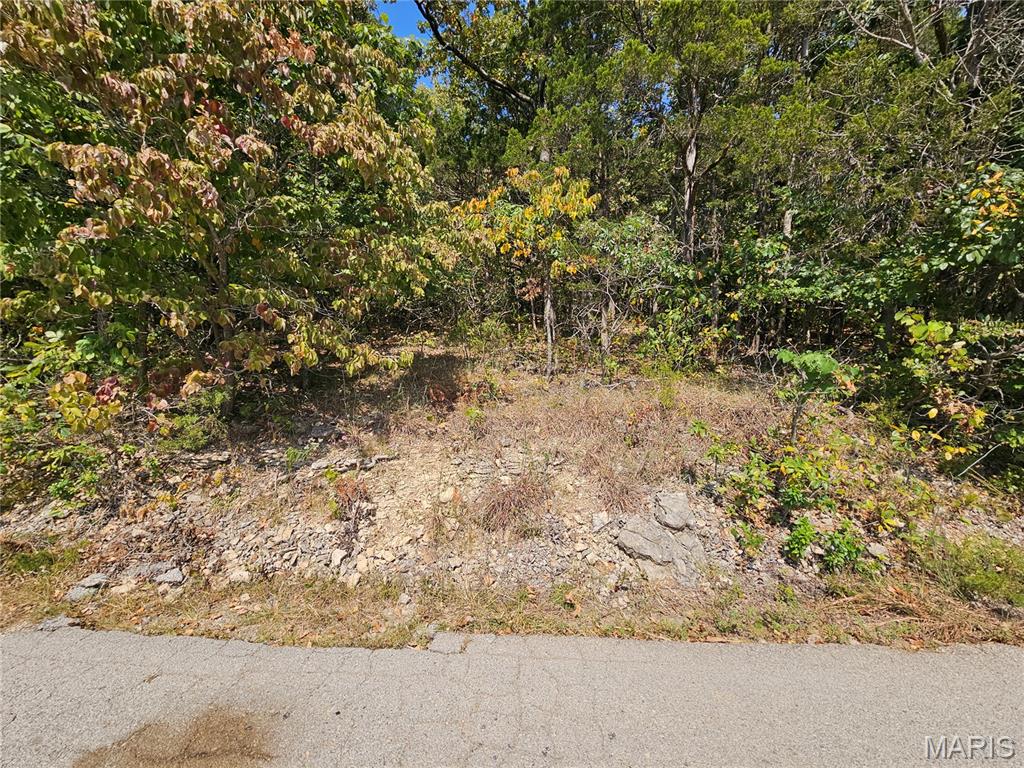 Raintree Plantation Sec 21 - Land