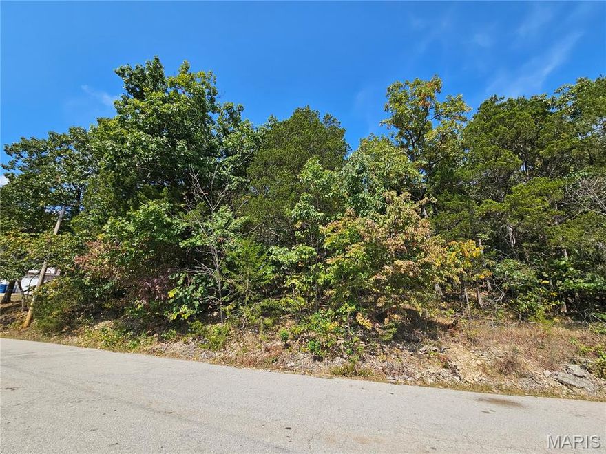 Welcome to 10129 Lake Ridge Drive, in the highly desired Raintree Plantation. Nestled on a street surrounded by established homes with beautiful lake views between every house! This lot has lake views across the street between the existing homes, and also sits higher up for a chance to get your own elevated views! This is a great opportunity to build a dream home in a premium area of this gated and private neighborhood! Enjoy access to the private lake, beach, golf course, clubhouse, yearly activities, and amenities this neighborhood has to offer! Please reach out to the Raintree office to obtain a copy of the rules/indentures/land usage rights. Buyer to verify schools for accuracy. Buyer to get survey to determine exact boundary lines. This lot is an extreme value for the neighborhood! Schedule to see this in person!

Please note that the HOA fee is annual, but there is a secondary fee for the country club social membership. Reach out to Raintree for those membership levels and costs.