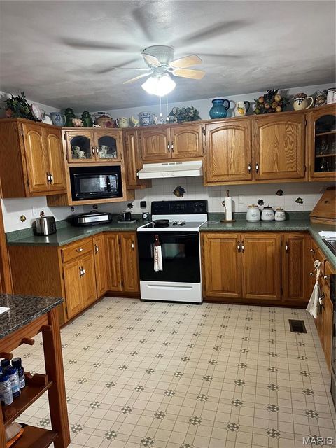 Tiny photo for 811 S Court, Bowling Green, MO 63334 (MLS # 26018671)