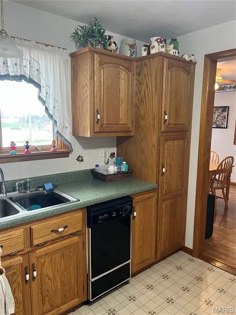 Tiny photo for 811 S Court, Bowling Green, MO 63334 (MLS # 26018671)