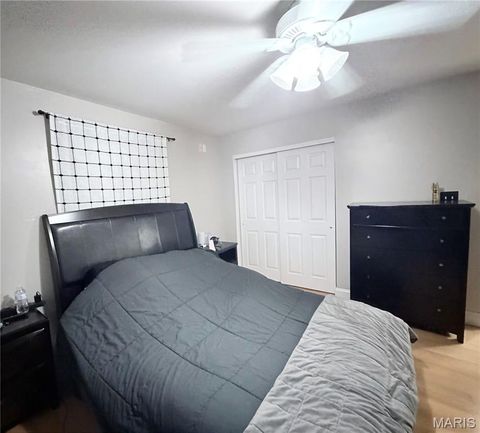 Tiny photo for 313 S Mill Street, Festus, MO 63028 (MLS # 26030416)