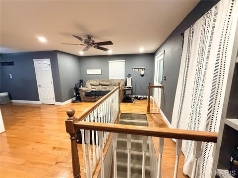 Tiny photo for 313 S Mill Street, Festus, MO 63028 (MLS # 26030416)