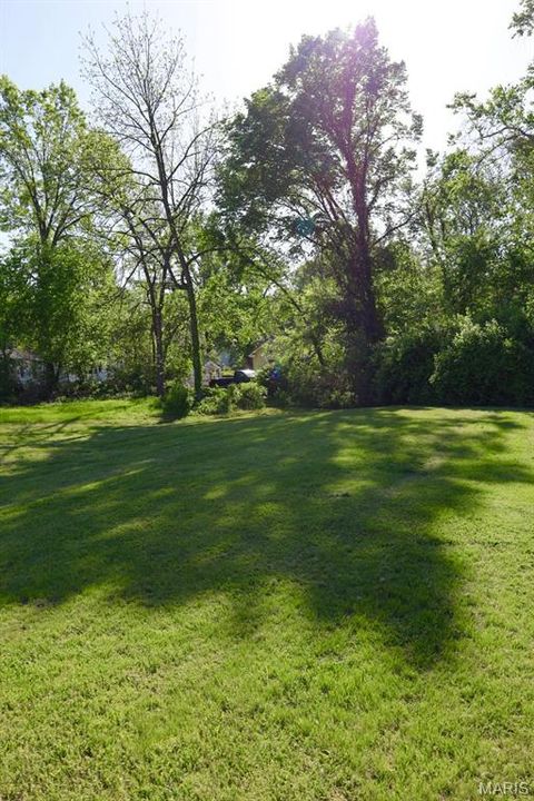 Tiny photo for 313 S Mill Street, Festus, MO 63028 (MLS # 26030416)