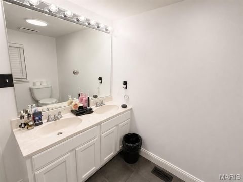 Tiny photo for 313 S Mill Street, Festus, MO 63028 (MLS # 26030416)