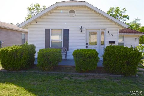 Photo of 313 S Mill Street, Festus, MO 63028 (MLS # 26030416)