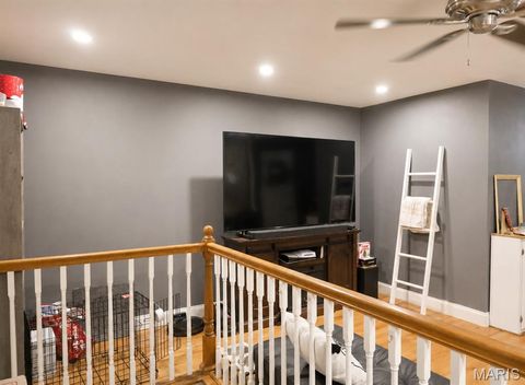 Tiny photo for 313 S Mill Street, Festus, MO 63028 (MLS # 26030416)
