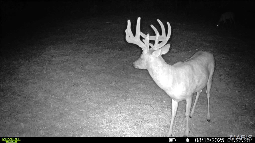 NA, N/A, None, 0 - Farm