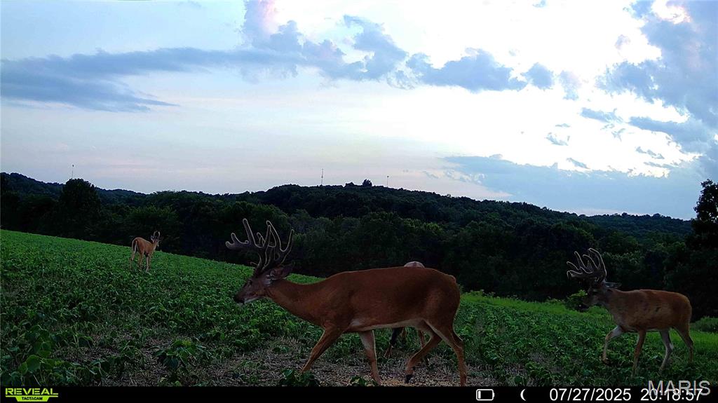 NA, N/A, None, 0 - Farm