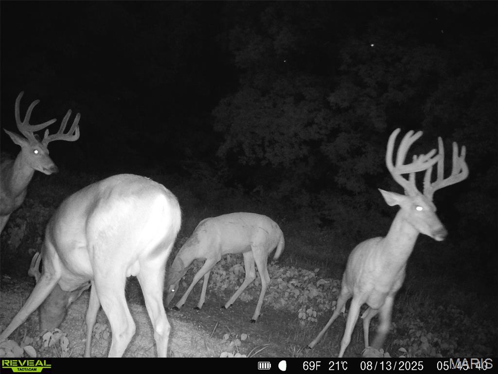 NA, N/A, None, 0 - Farm