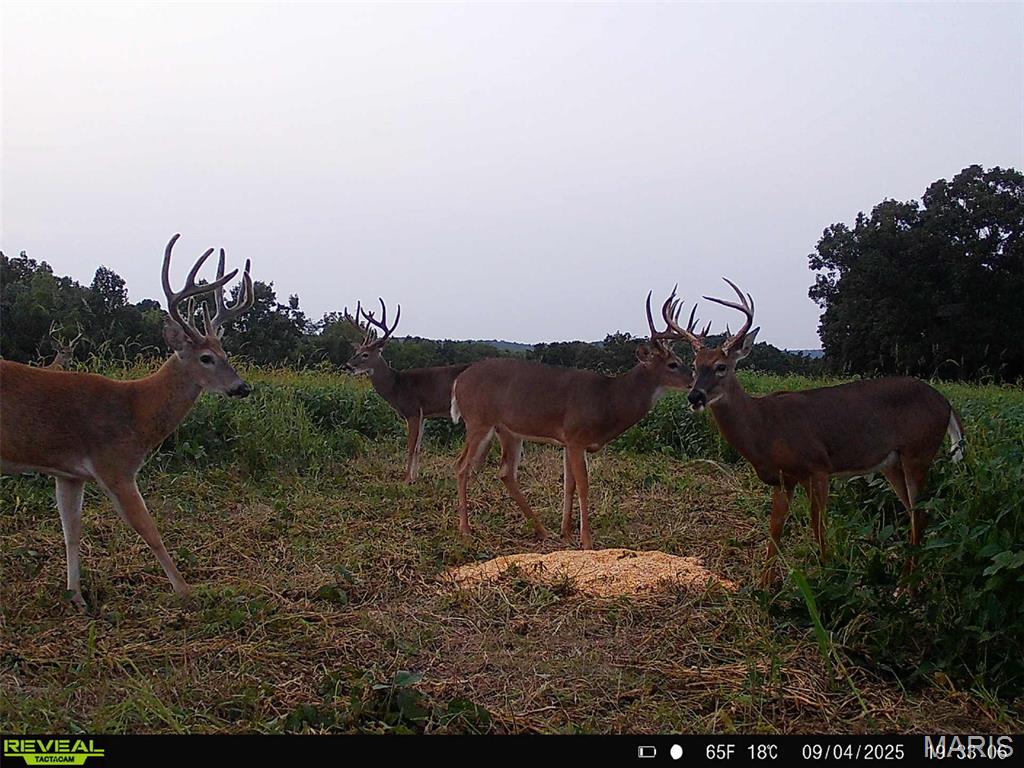 NA, N/A, None, 0 - Farm