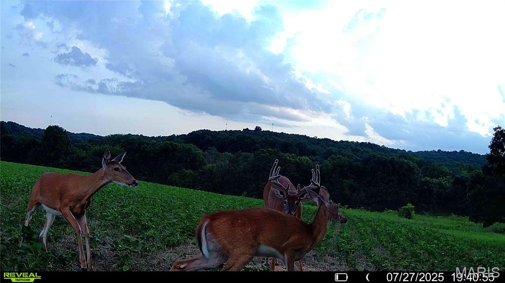 NA, N/A, None, 0 - Farm