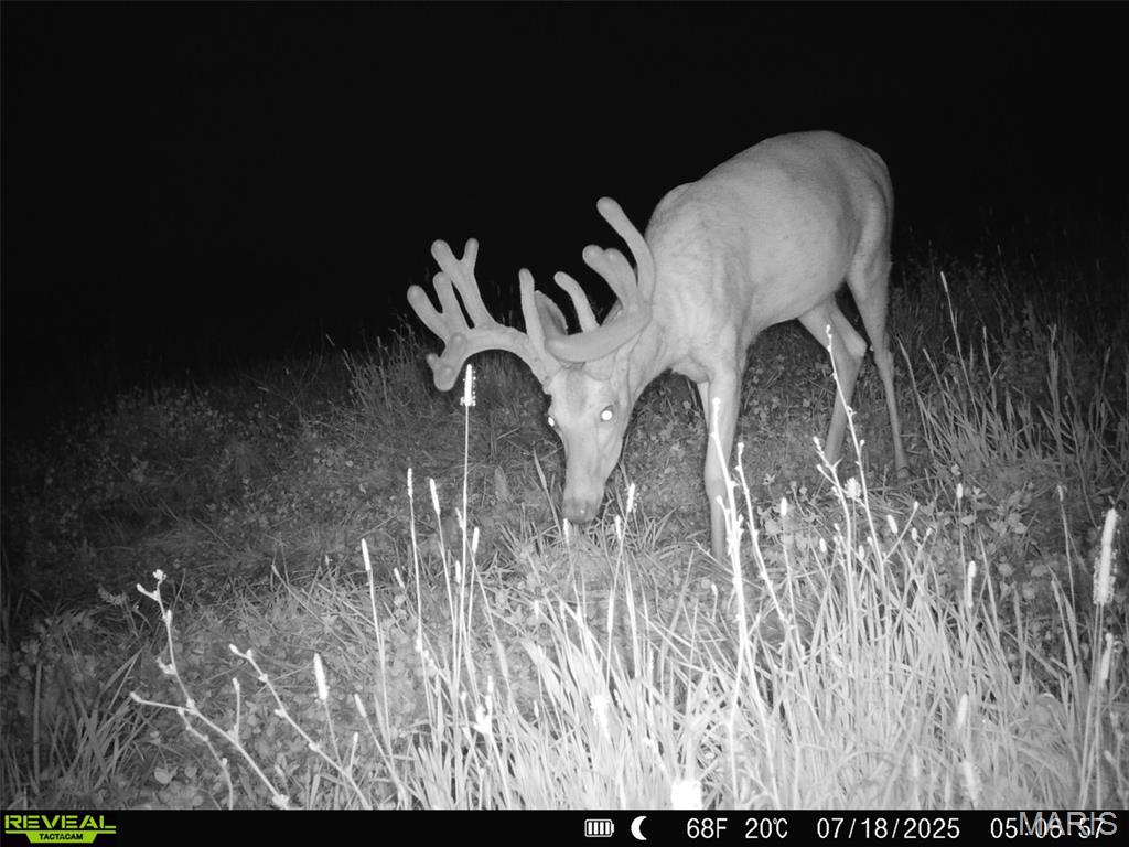 NA, N/A, None, 0 - Farm