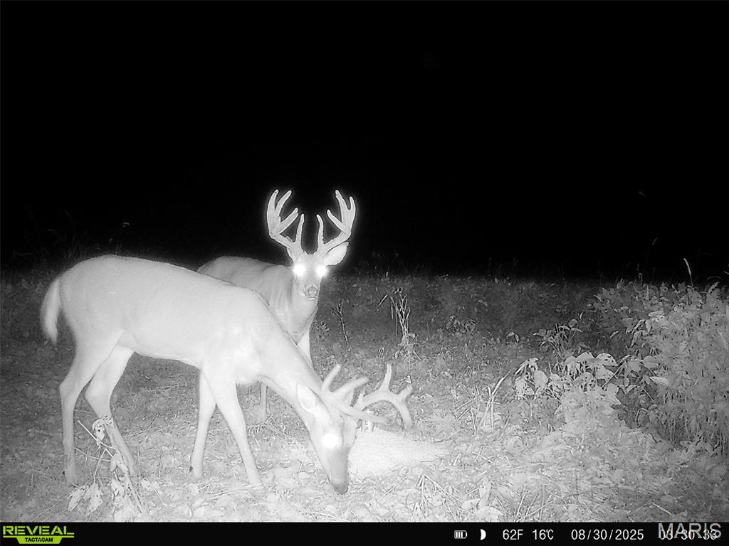 NA, N/A, None, 0 - Farm