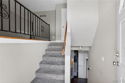 Tiny photo for 1315 Red River Drive, St Louis, MO 63138 (MLS # 26027901)