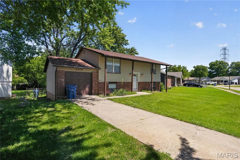 Photo of 1315 Red River Drive, St Louis, MO 63138 (MLS # 26027901)