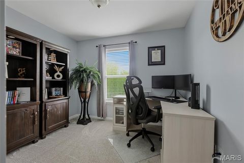 Tiny photo for 381 Cuivre Valley Drive, Troy, MO 63379 (MLS # 26021613)