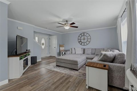 Tiny photo for 381 Cuivre Valley Drive, Troy, MO 63379 (MLS # 26021613)