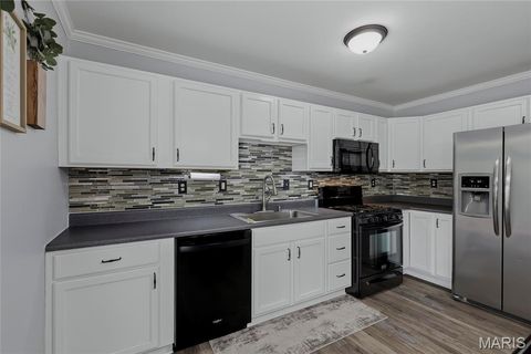 Tiny photo for 381 Cuivre Valley Drive, Troy, MO 63379 (MLS # 26021613)