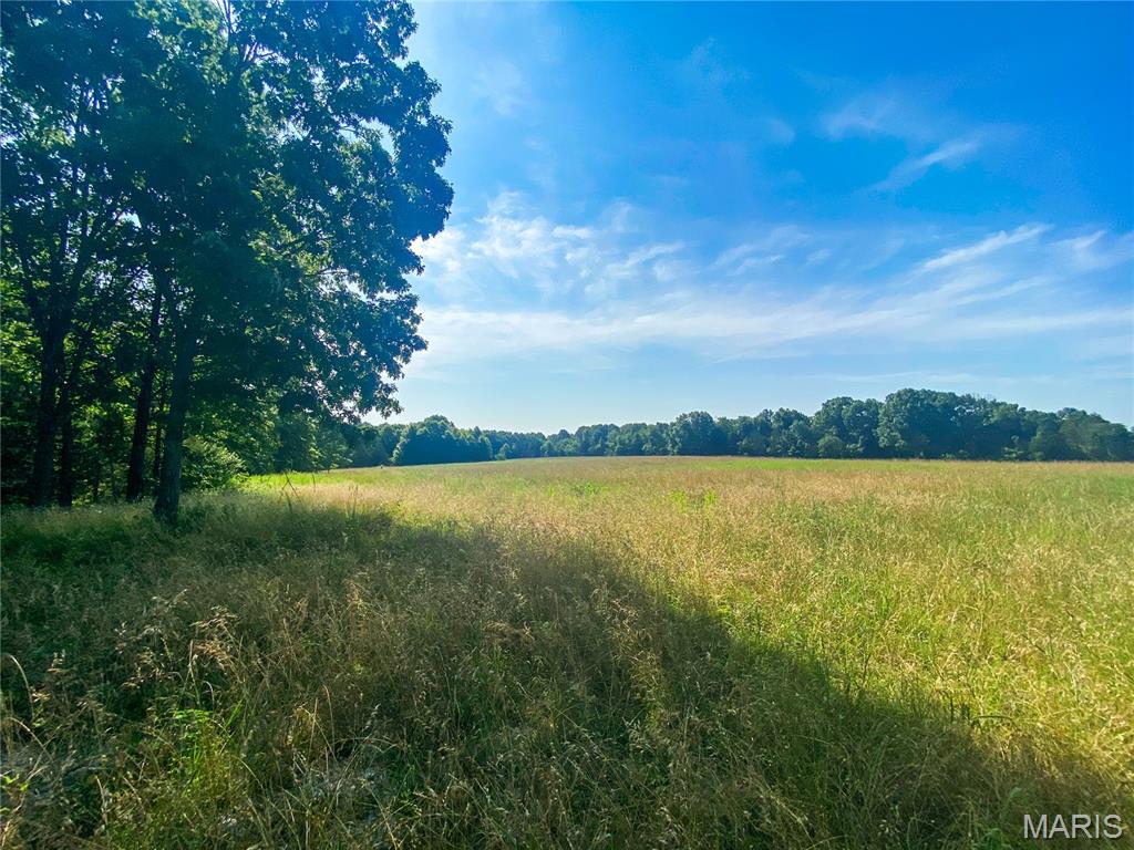 Lot 7 Springview Farms