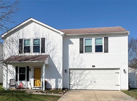 633 Fallen Timber Lane Mascoutah IL 62258