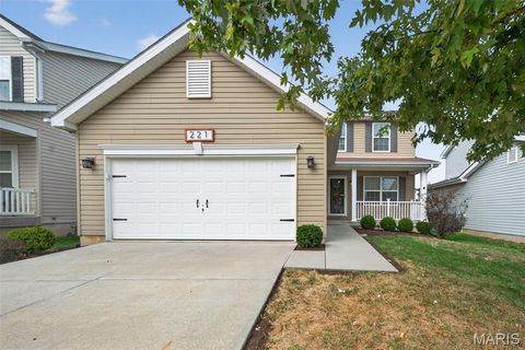 Photo of 221 Pecan Bluffs Drive, Wentzville, MO 63385 (MLS # 25069186)
