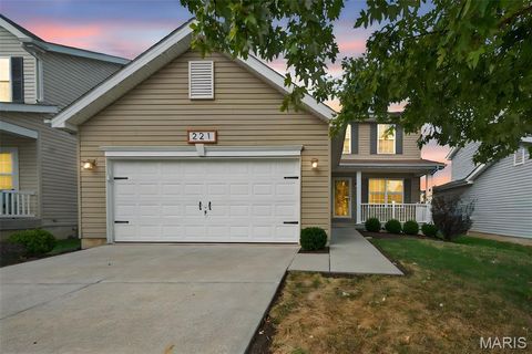 Tiny photo for 221 Pecan Bluffs Drive, Wentzville, MO 63385 (MLS # 25069186)