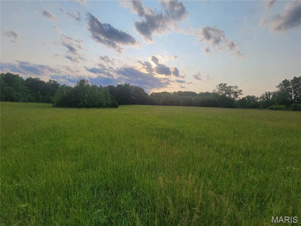 229 Red Oaks Drive