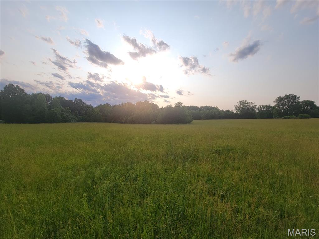 229 Red Oaks Drive