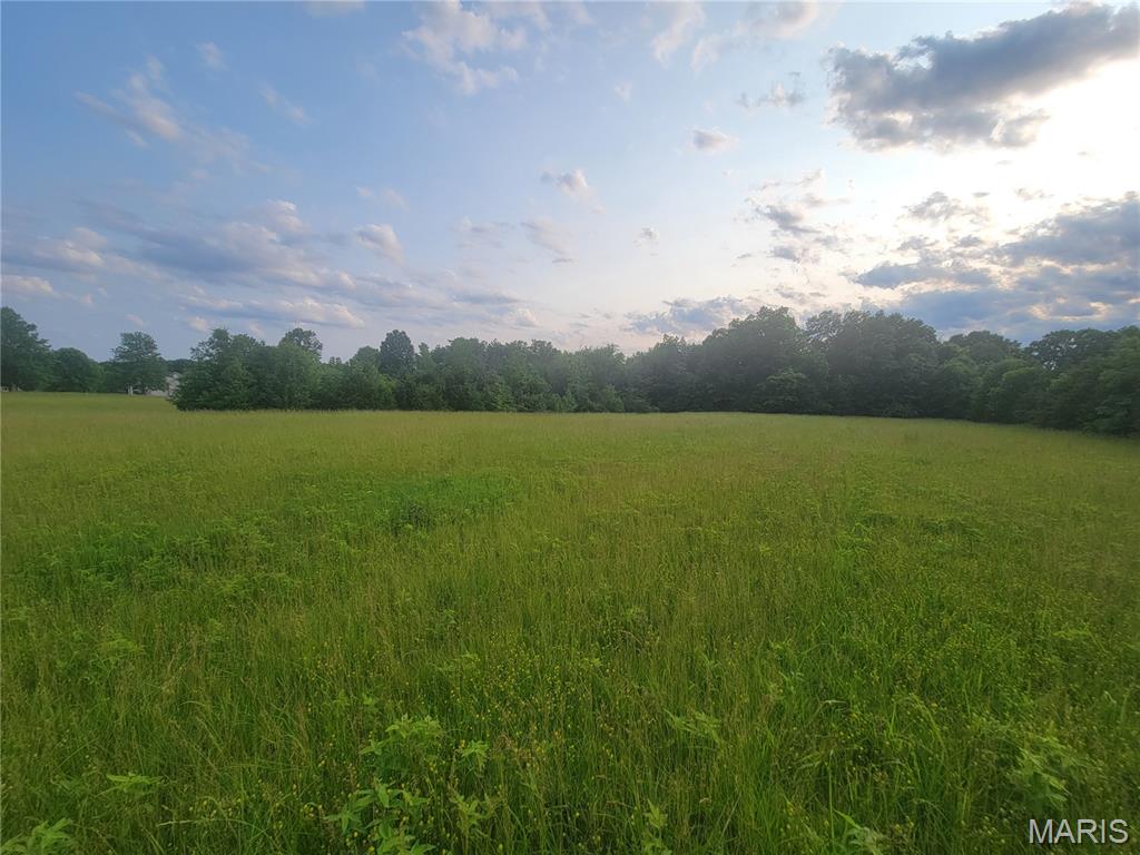 229 Red Oaks Drive