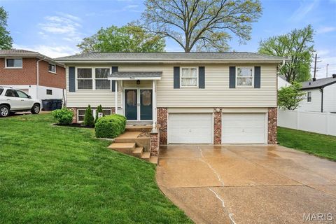 Photo of 9601 Gallop Lane, Crestwood, MO 63126 (MLS # 26020864)
