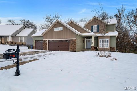 408 Cass Drive Troy MO 63379