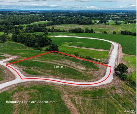 102 Harvest Glen Ct Old Monroe MO 63369