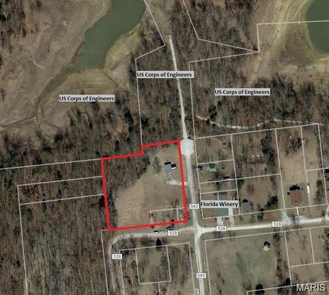 Tiny photo for 0 Mill Street, Florida, MO 65283 (MLS # 26009089)