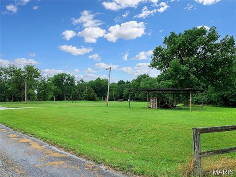 Tiny photo for 0 Mill Street, Florida, MO 65283 (MLS # 26009089)