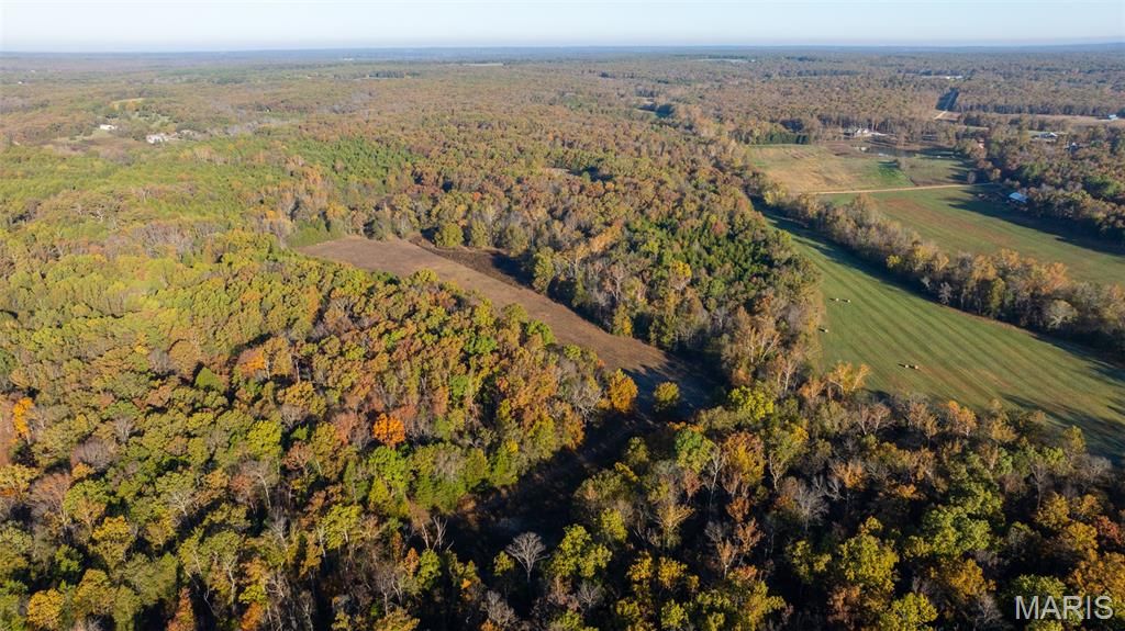 Photo of 000 Oak Forest Road, Bland, MO 65014 (MLS # 25079242)