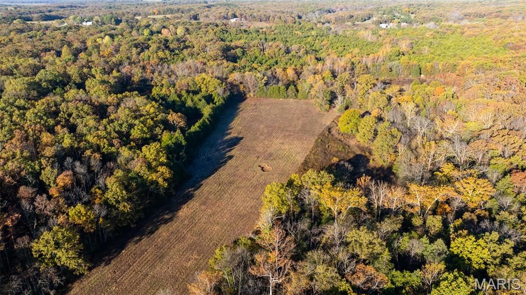 Photo of 000 Oak Forest Road, Bland, MO 65014 (MLS # 25079242)