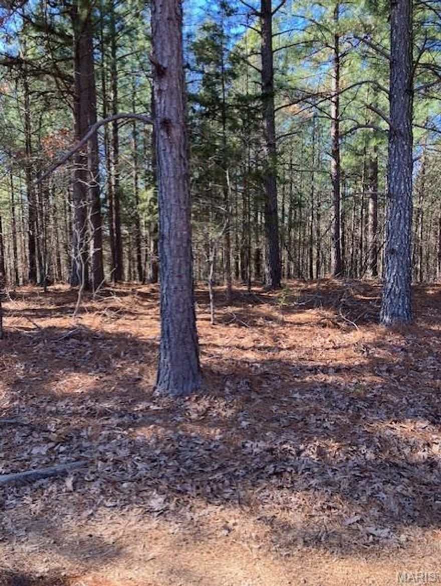 This 20.5 acres with a magnificent Ozarks view includes a deeded access road to the property, and deeded access to a nearby shared spring-fed stream, and sits within about a mile of Mark Twain National Forest. 
This ridgetop oasis comes with NO restrictions, and can be had for less than the price of a new truck or SUV. 
Hunt, camp, build, ride ATVs on your own land, or fish or play in the shared creek section ... endless opportunities.
This property is wooded and rolling. You are within a mile of the 22,176-acre Mark Twain National Forest ... public ground where you can also hunt, ride and explore. All this, and only about 2 miles by road from U.S. 67.
Use this wooded, secluded property as a base camp for adventure or build your forever home and live out your days in secluded bliss. This and surrounding land is teeming with deer, turkey and small game, and the occasional feral hog or maybe a black bear.
There is additional acres available which adjoin this piece if interested.