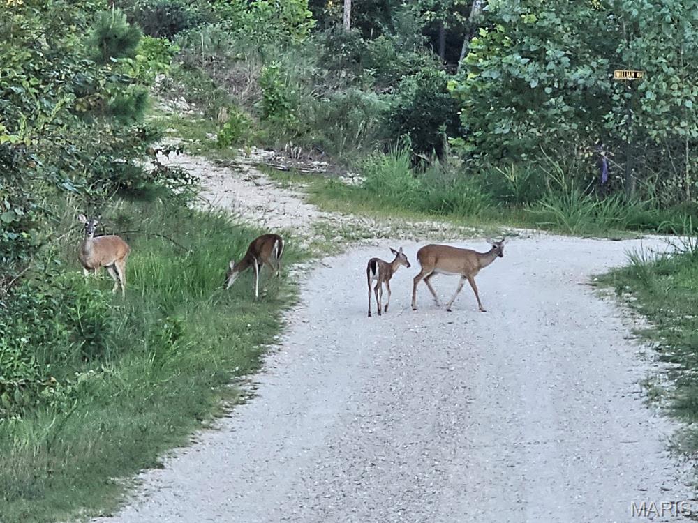 Valley Ridge - Residential