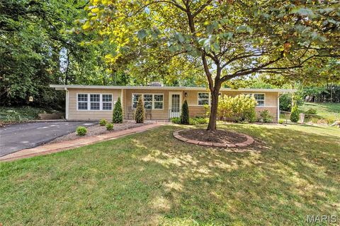 Photo of 621 Crest Court, Kirkwood, MO 63122 (MLS # 25057863)