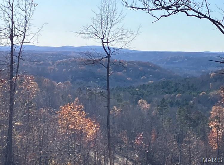Photo 1 of 5 — 229 Madison CR 410, Fredericktown, MO 63645