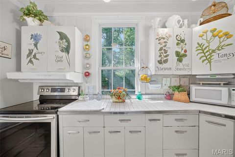Tiny photo for 400 S Woodlawn Avenue, Kirkwood, MO 63122 (MLS # 25060145)